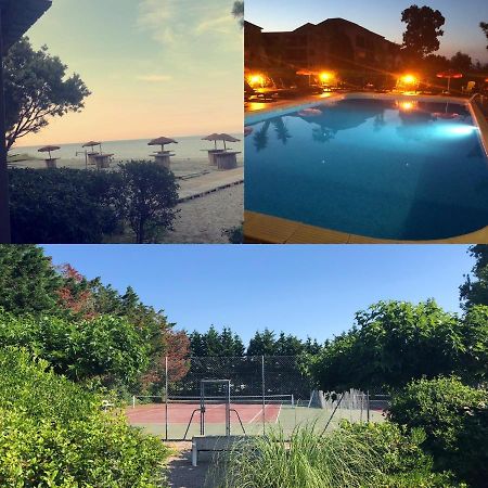 Joli T2 Les Pieds Dans L'Eau , Piscine Tennis.... San-Nicolao Exteriör bild